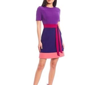 LDT Colorblock Belted Dress Size 4 – Purple Pink Navy Short
